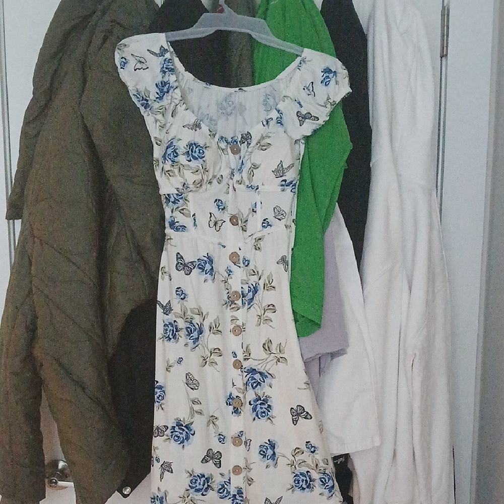 Floral Print Dress with Blue and White Design